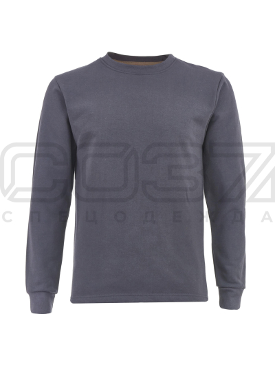 Толстовка Студент цв.тёмно-серый тк.футер 1